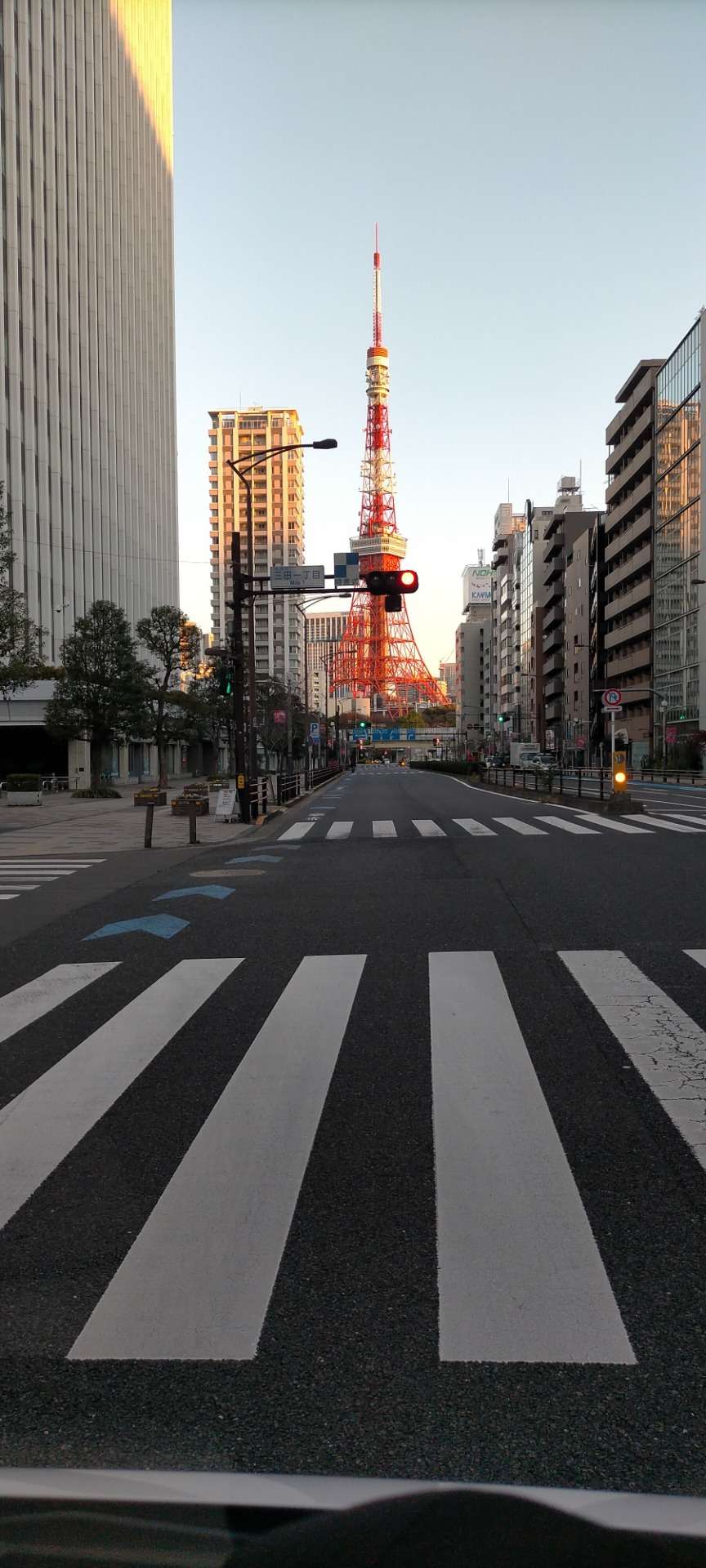 早朝の東京タワー